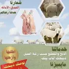 ذبايح حري ونعيم
