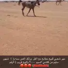 مهر