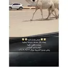 وضح طيبه