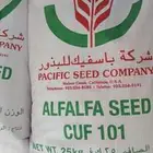 بذور برسيم كاف 101 الاميركي مغلف