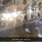 القصيم -الأسياح-قبه
