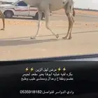 بكره غيثيه كفوو