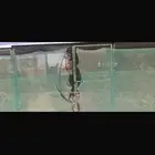 صندقه للبيع