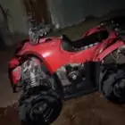 دباب