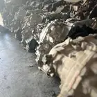 قير سنترا