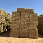 مطلوب مخلوط برسيم علف