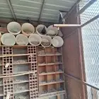 حمام للبيع من اربعين الا خمسين جوز (زاجل ونجدي ومصري وسلفر)