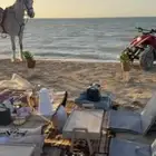 جلسات على الشاطي