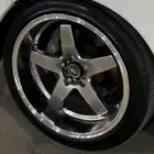 جنوط رايز