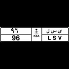 لوحة مميزه للبيع