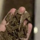 عود موروكي طبيعي فاخر