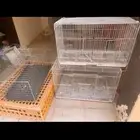 أقفاص
