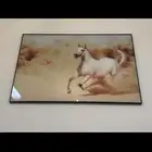 لوحة الحصان العربي الأصيل