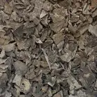 ميني جار هندي سوبر مرتفع ودبل