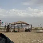 للبيع شبك حلال 10