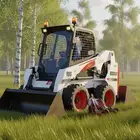 بوبكات للايجار شيول صغير بكات بوب كات Bobcat cat