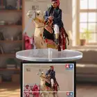 جمل لإيجار