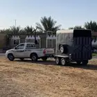 عربة خيل راسين