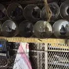 زاجل ازرق خطين 20 جوز