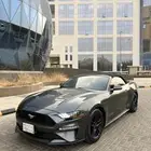 موستنق 2018 كشف