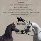 ايوا خيل وعسف