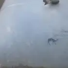 راويه الخليج من السنيدي