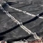 بيت شعر للحلال