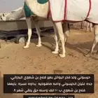 قعود اوضح حيسوني كفووو
