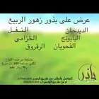 عندك ارض وتبي تزرعها من الزهور الربيعية .. تفضل
