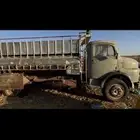 حصني وايت