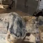تنك جيب شاص