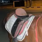 سرج هاي رايدن مع اغراضه كامله