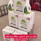 شامبو اجمل للخيل. في مكه