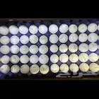 بيض مائدة جملة فقط