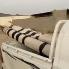 خيمه