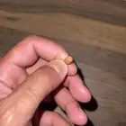 سماعة نانو