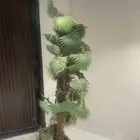 ستاير وشجر واثاث ودفايات