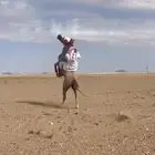 حصان