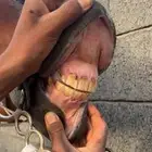 حصان واهو للبيع