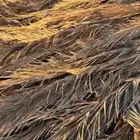 جريد نخل للبيع