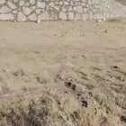 شغل بوكلين