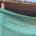 حضائر أغنام