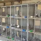 للبيع محاكر حمام حديد