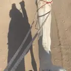 جمل من سحيمات