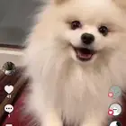 الاحساء   المبرز   حي السلام الثاني