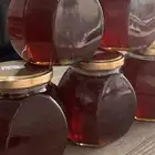 عسل الطلح