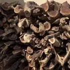 مستورد محلى