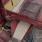 حب محصول هذا الاسبوع