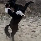 حصان شعبي ركوب حار