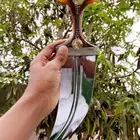 جنبيه صنعناني